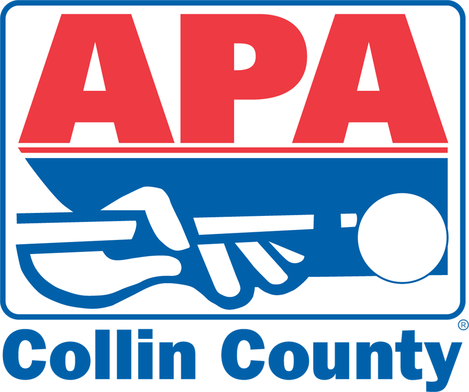 American Poolplayers Association